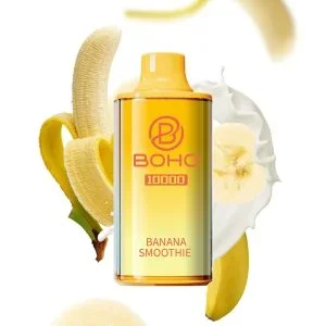 BOHO Horizon 10000 bouffées Vape jetable Wholesale Smooth Vapor High Capacity