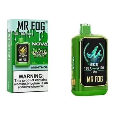 Menthol Mint Steezy Mr Fog NOVA 36K Disposable